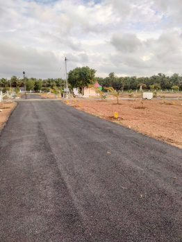 Budget Friendly Plots for Sale Kinathukadavu