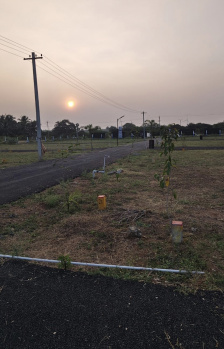 Land for Sale Kinathukadavu - Mettubavi