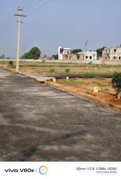 Residential Plots for Sale Perur location