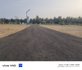 Budget Friendly Plots for sale Kinathukadavu