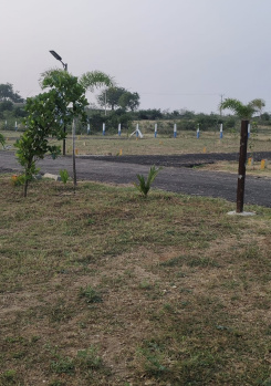 Farm Plots for Sale Kinathukadavu