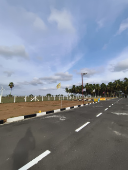 Budget friendly DTCP plots for sale