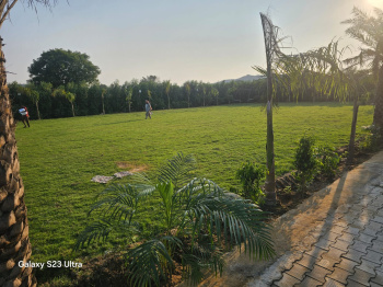 Agricultural/Farm Land for Sale in Manesar, Gurgaon (3000 Sq. Yards)