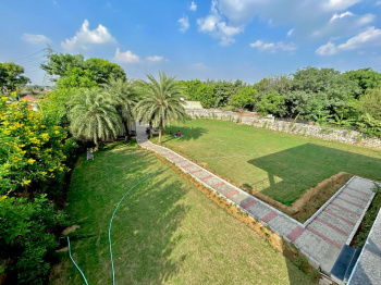 Agricultural/Farm Land for Sale in Pachgaon, Gurgaon (2420 Sq. Yards)