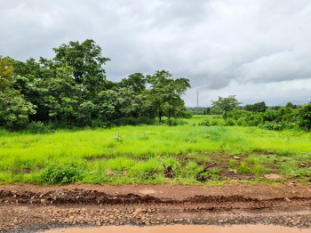 Agricultural/Farm Land for Sale in Mangaon, Raigad (12.5 Guntha)