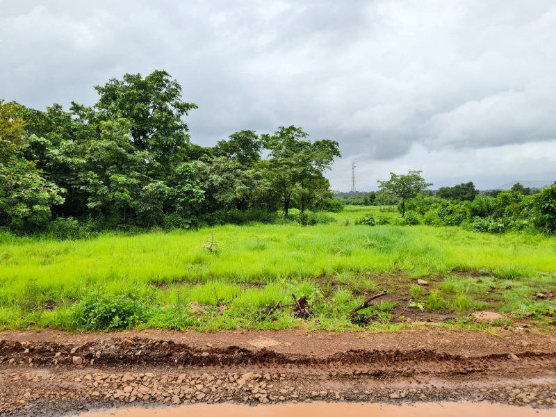 Agricultural/Farm Land For Sale In Mangaon, Raigad (12.5 Guntha)