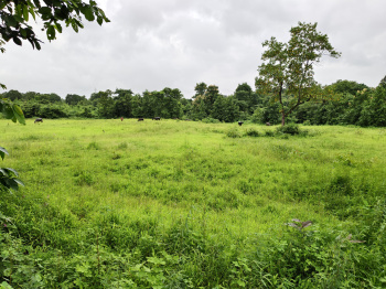 69 Guntha Farm/ Agricultural Land