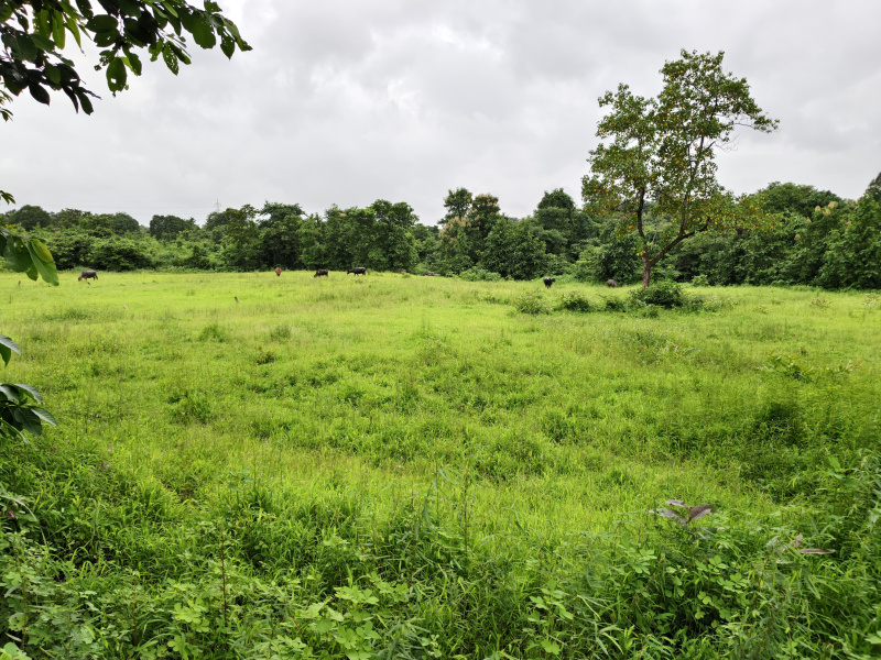 69 Guntha Farm/ Agricultural Land