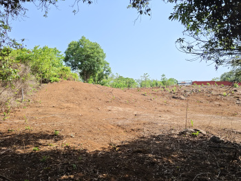 32 Guntha Farm/ Agricultural Plot For Sale in Mangaon, Raigad, Konkan