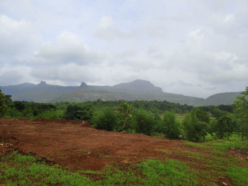 1.5 Acres Farm/Agricultural Plot in Mangaon, Raigad, Konkan