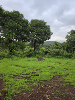 9.5 Guntha Agricultural Plot For Sale in Mangaon, Raigad, Konkan