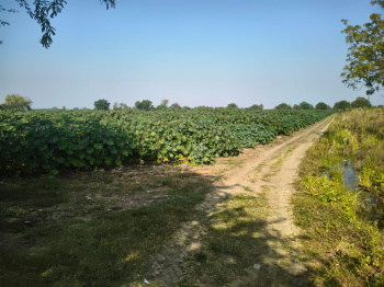 Property for sale in Halol, Vadodara