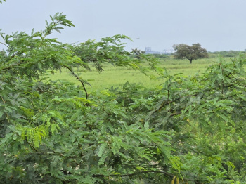 Property for sale in Dahej GIDC, Bharuch