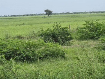 Property for sale in Dahej GIDC, Bharuch