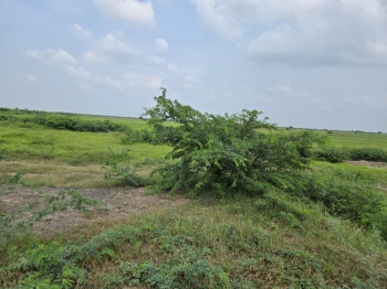 Property for sale in Dahej GIDC, Bharuch