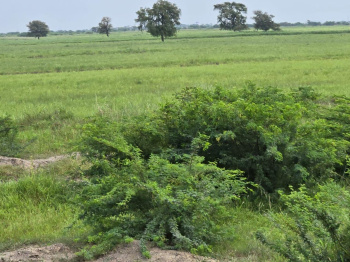 Property for sale in Dahej GIDC, Bharuch