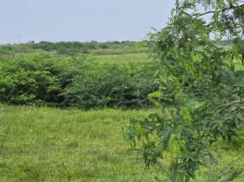 220 Acres Land for Sale in Savli – By Sahil Land & Estate