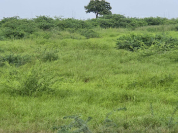 Property for sale in Savli, Vadodara
