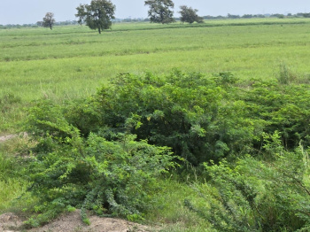 Property for sale in Savli, Vadodara