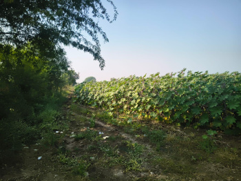📍 126 Acres Prime Land in Karjan, Vadodara, Gujarat  A premium 126-acre contiguous land parcel available for sale in Karjan, Vadodara,