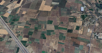 88 Acres Agricultural Land for Sale in Halol, Gujarat Large Contiguous Land Parcel in Emerging Industrial Growth Belt