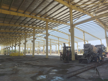 Warehouse/Godown for Rent in Jarod, Vadodara (15000 Sq.ft.)