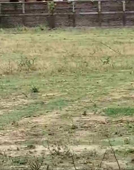 Commercial Lands /Inst. Land for Rent in Por, Vadodara (8300 Sq.ft.)