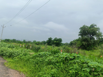 Industrial Land / Plot for Sale in Karjan, Vadodara (25 Bigha)