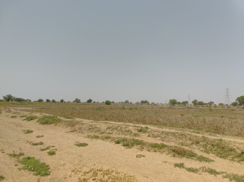 Agricultural/Farm Land for Rent in Khavda, Kutch (8000 Acre)