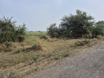 200 Acres Land Available for Sale | Savli, Vadodara, Gujarat – Sahil Land & Estate 🏭