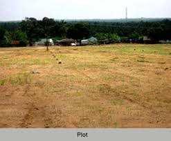 800 Bigha Agricultural/Farm Land for Sale in Barmer