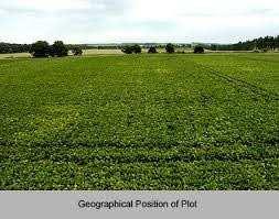 Agricultural/Farm Land for Sale in Bikaner (130 Bigha)