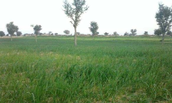 Property for sale in Jai Narayan Vyas Colony, Bikaner