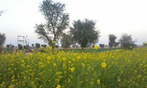 Property for sale in Jai Narayan Vyas Colony, Bikaner