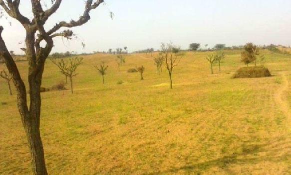 Property for sale in Jai Narayan Vyas Colony, Bikaner