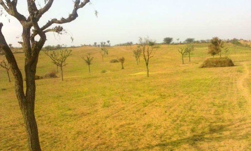 80 Bigha Farm Land for Sale in Bikaner
