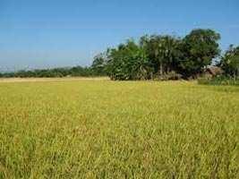 Property for sale in Kolayat, Bikaner