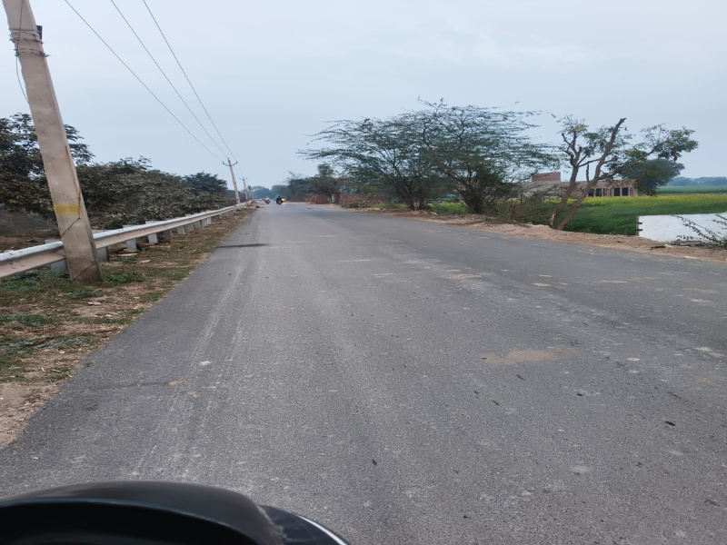 Agricultural/Farm Land For Sale In Alwar Bridge, Mathura (1 Bigha)