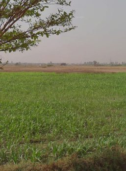 Agricultural/Farm Land for Sale in Kharkhoda, Sonipat (4 Acre)