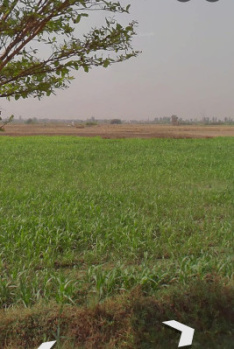 Property for sale in Kharkhoda, Sonipat