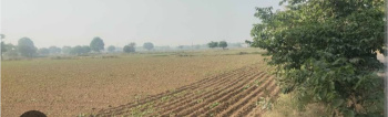 Property for sale in Bahadurgarh, Jhajjar