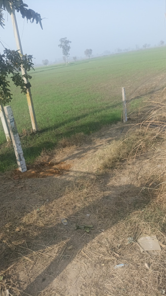 Industrial Land / Plot For Sale In Kharkhoda, Sonipat (8 Acre)