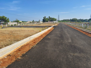 1553 Sq.ft. Residential Plot for Sale in Allithurai, Tiruchirappalli