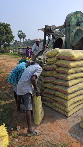 Residential Plot For Sale In Dakamarri, Visakhapatnam (300 Sq. Yards)