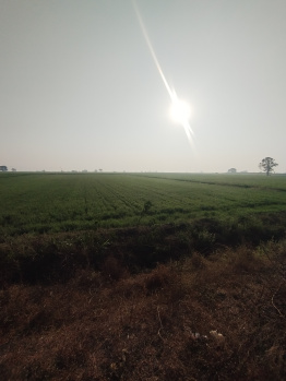 Property for sale in Maksi, Shajapur