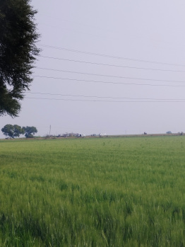 Property for sale in Badnawar, Dhar