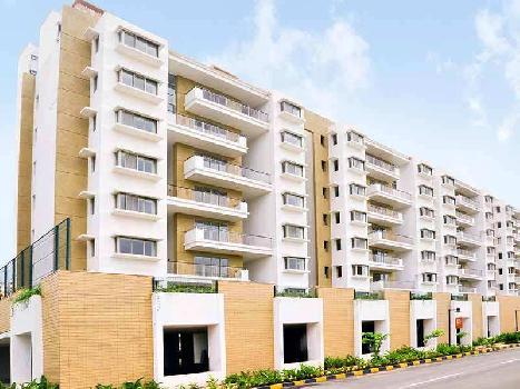 1 BHK Flats & Apartments for Sale in Dombivli, Thane (506 Sq.ft.)