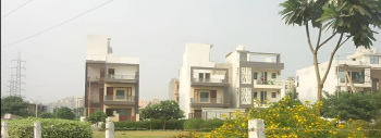 3.5 BHK Builder Floor for Sale in Sector 48, Gurgaon (220 Sq. Yards)
