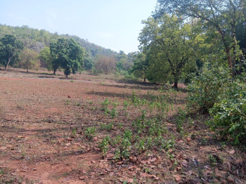 Agricultural/Farm Land for Sale in Padiabahal, Sambalpur (16.7 Acre)