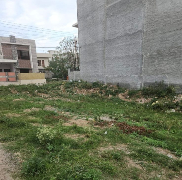 Residential Plot For Sale In Sector 115, Mohali (200 Sq. Yards)